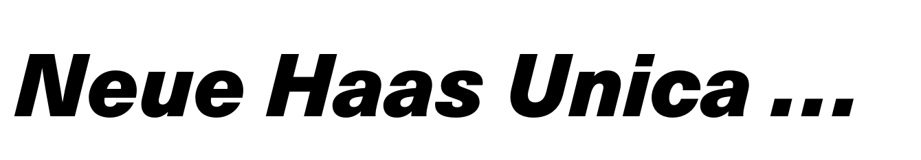 Neue Haas Unica Paneuropean Black Italic